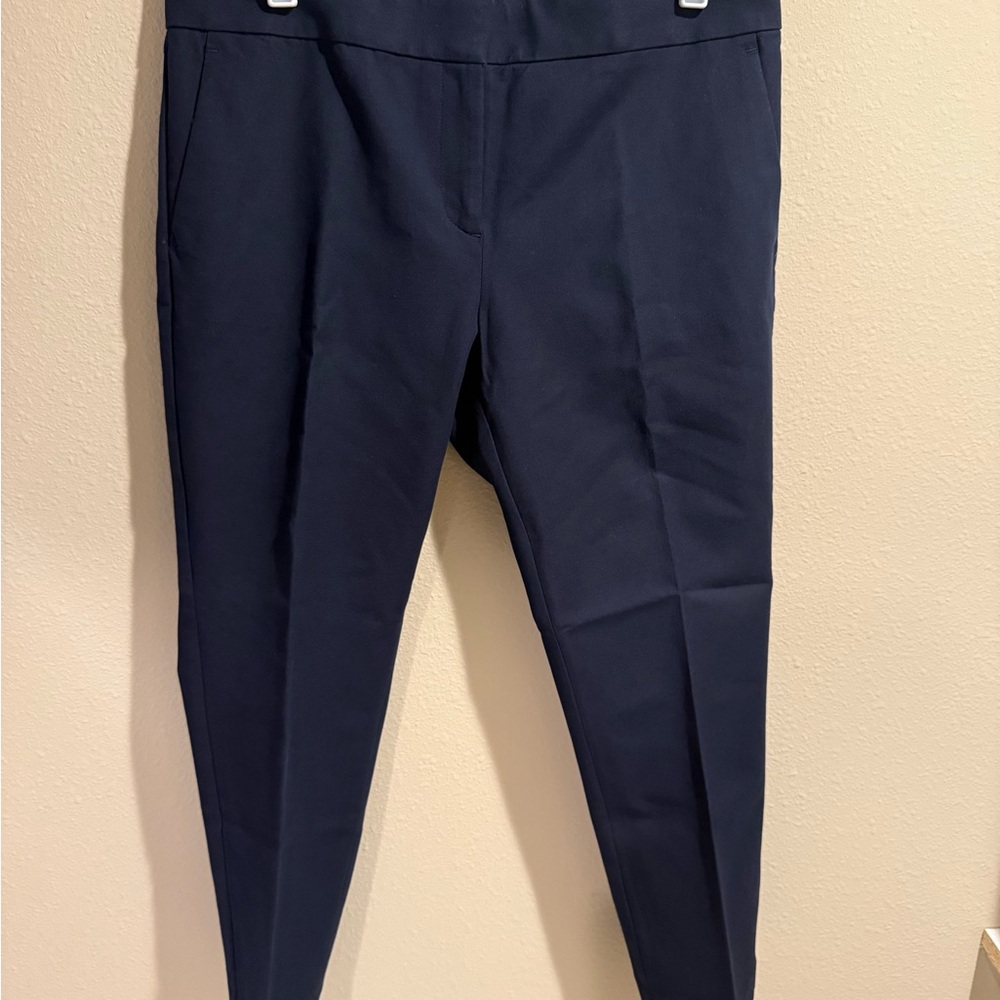 Ann Taylor Navy Blue Tailored Trousers